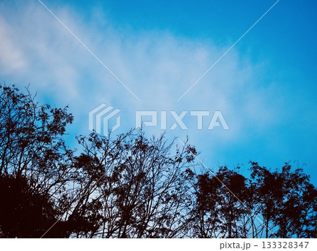 冬の空に浮かぶ白い雲 133328347