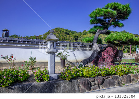 大山祇神社の参道 133328504