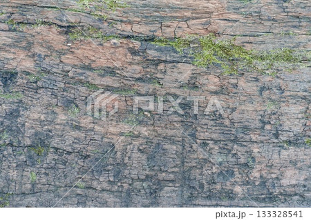 苔の生えた古い木の板 苔の生えた古い木の板 133328541
