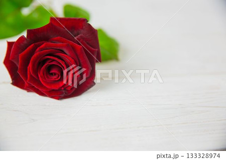 Red rose on wood with copy space 133328974