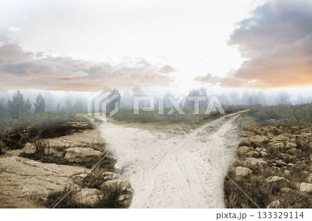 Path leading to the horizon in countryside 133329114