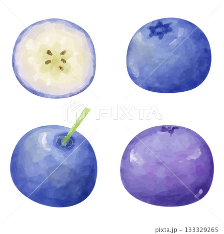 水彩画風のブルーベリーの粒と切断面のイラスト 133329265