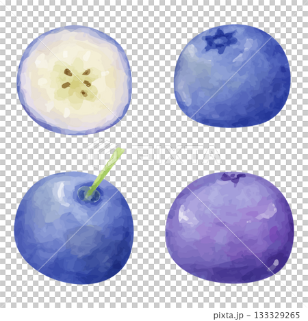 藍莓籽粒和切面的水彩插圖 133329265