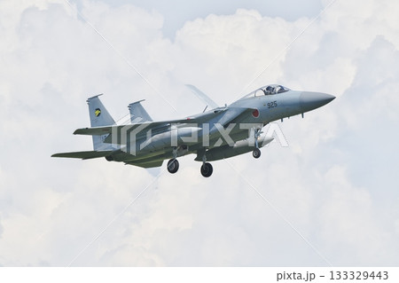 着陸態勢の第306飛行隊のF-15J 133329443