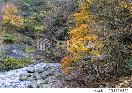 自然の中に流れる清流感ある菊池渓谷につながる紅葉の見える滝 自然の中に流れる清流感ある菊池渓谷につながる紅葉の見える滝 133329536