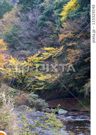自然の中に流れる清流感ある菊池渓谷につながる紅葉の見える滝 133329548
