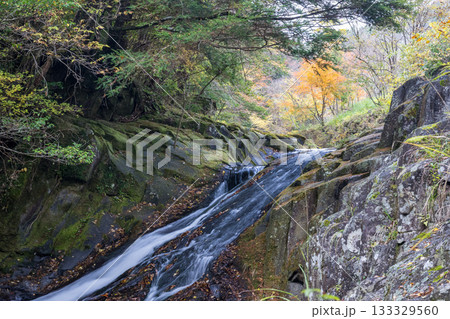 自然の中に流れる清流感ある菊池渓谷につながる紅葉の見える滝 133329560