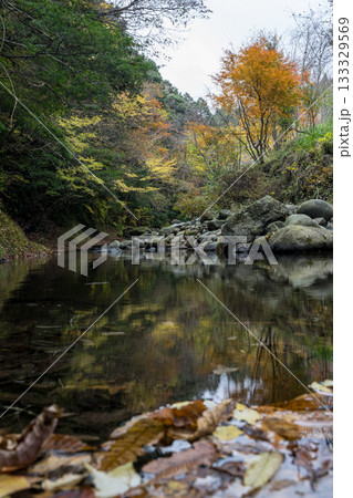 自然の中に流れる清流感ある菊池渓谷につながる紅葉の見える滝 自然の中に流れる清流感ある菊池渓谷につながる紅葉の見える滝 133329569