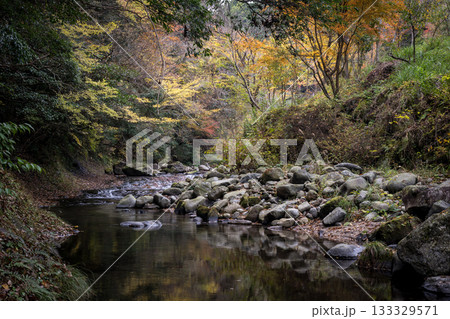 自然の中に流れる清流感ある菊池渓谷につながる紅葉の見える滝 133329571