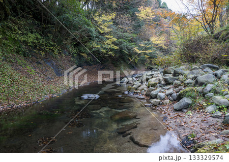 自然の中に流れる清流感ある菊池渓谷につながる紅葉の見える滝 133329574