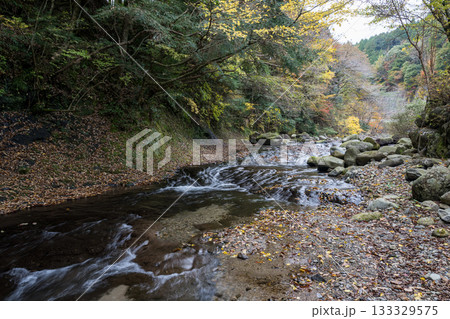 自然の中に流れる清流感ある菊池渓谷につながる紅葉の見える滝 自然の中に流れる清流感ある菊池渓谷につながる紅葉の見える滝 133329575