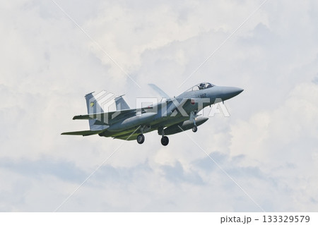 着陸態勢の第306飛行隊のF-15J 133329579