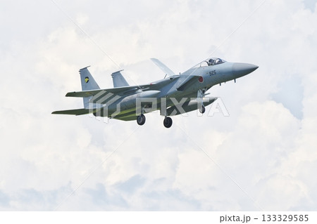 着陸態勢の第306飛行隊のF-15J 着陸態勢の第306飛行隊のF-15J 133329585