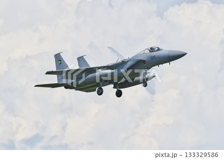 着陸態勢の第306飛行隊のF-15J 着陸態勢の第306飛行隊のF-15J 133329586
