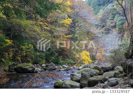 自然の中に流れる清流感ある菊池渓谷につながる紅葉の見える滝 133329587