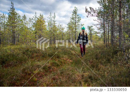 Woman hiker walking on trek in marshy pine autumn forest on weekend trip outdoors, enjoying nature. Woman hiker walking on trek in marshy pine autumn forest on weekend trip outdoors, enjoying nature. 133330050