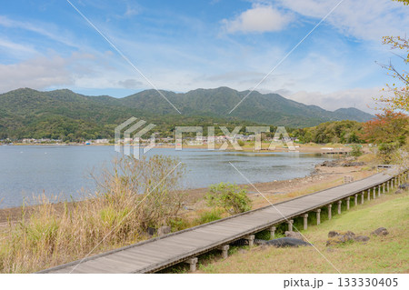 山中湖水辺のボードウォーク 山中湖水辺のボードウォーク 133330405