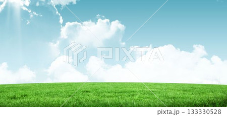 Wide grass field is unfolding in flat design illustration, with sunlight rays and fluffy clouds Wide grass field is unfolding in flat design illustration, with sunlight rays and fluffy clouds 133330528