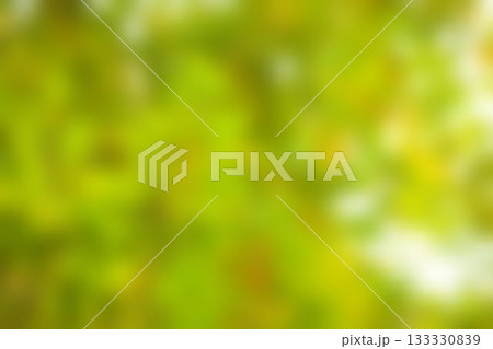 Blurry of autumn trees on a sunny day 133330839