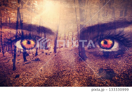 Glowing amber eyes are floating in flat illustration autumn forest, with fallen leaves and sunbeams 133330999
