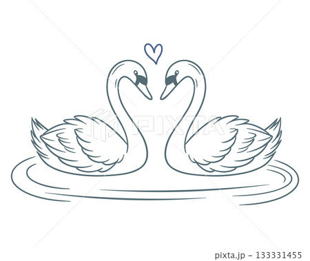 Romantic swans in love. Two swans are facing each other. Outline drawing. Sketch. 133331455