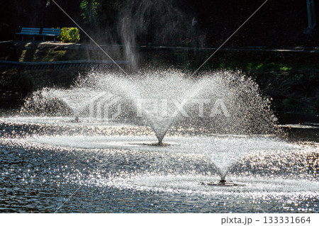 Magnificent fountain in the middle of the river. Dobele, Latvia. Magnificent fountain in the middle of the river. Dobele, Latvia. 133331664