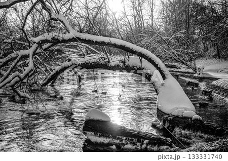 river with leaning snow-covered tree in winter at sunrise river with leaning snow-covered tree in winter at sunrise 133331740