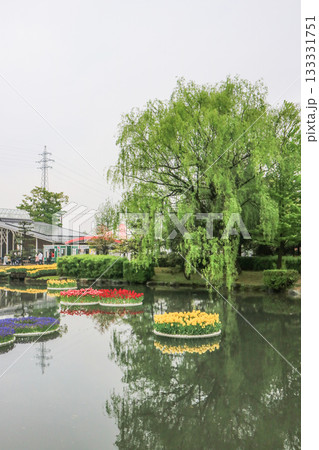 砺波チューリップ公園 砺波チューリップ公園 133331751