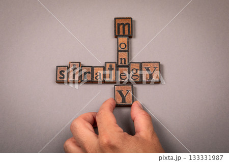 Words Money and Strategy Formed with Vintage Wooden Letter Blocks Representing Financial Planning 133331987