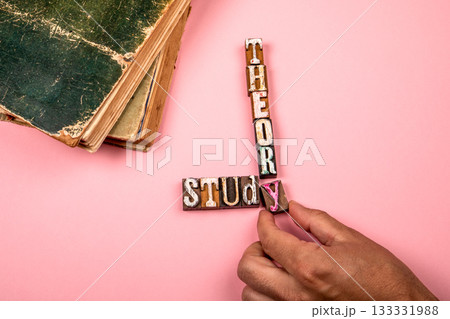 Words Study and Theory Formed with Vintage Letter Blocks on Pink Background Representing Education 133331988