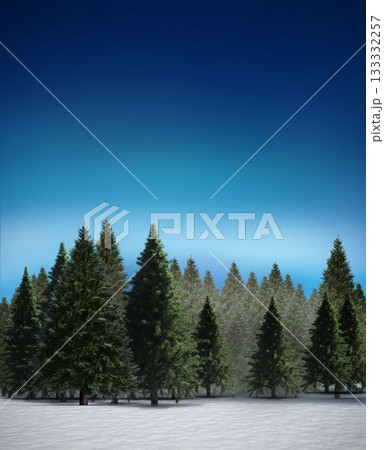 Fir tree forest in snowy landscape 133332257