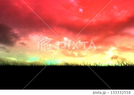 Vector design is showing grass silhouette stretching across horizon under vibrant colorful clouds Vector design is showing grass silhouette stretching across horizon under vibrant colorful clouds 133332558