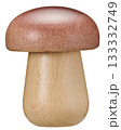 木製きのこ／木製マッシュルームオブジェ（白背景） 133332749