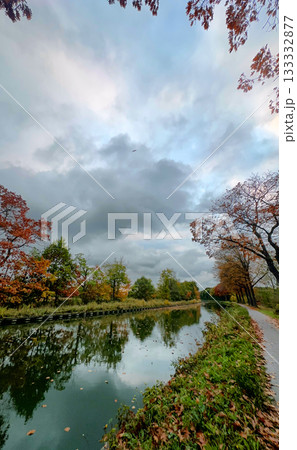 Tranquil waterway bordered by bright trees and drifting leaves 133332877