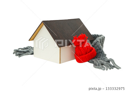 House wears knitted hat and scarf for warmth, isolated on white, PNG 133332975