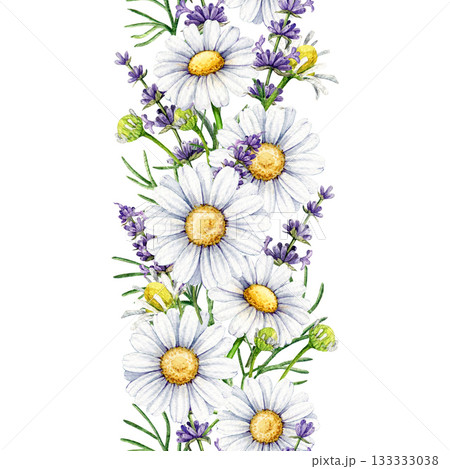Lavender and chamomile flowers seamless border decor element watercolor illustration. Hand drawn chamomile blossoms and lavender stems floral border decoration element isolated on white background 133333038