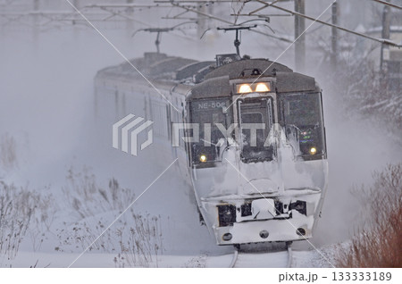 千歳線　北広島－島松　JR北海道　785系　NE-502編成（札幌）　すずらん 133333189