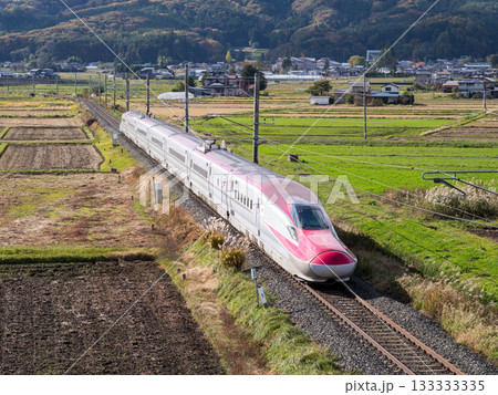 【秋田新幹線】秋の田園地帯を走行する特急こまち 133333335