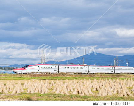 【秋田新幹線】秋の田園地帯を走行する特急こまち 133333339