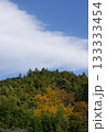 紅葉した山 133333454