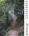 山の中にある道 133333455