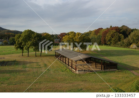 秋の紅葉が始まった公園 133333457