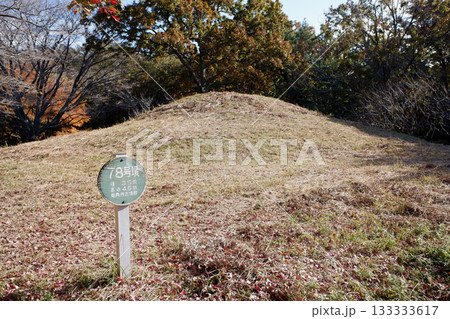千葉県 龍角寺古墳群・78号墳 千葉県 龍角寺古墳群・78号墳 133333617