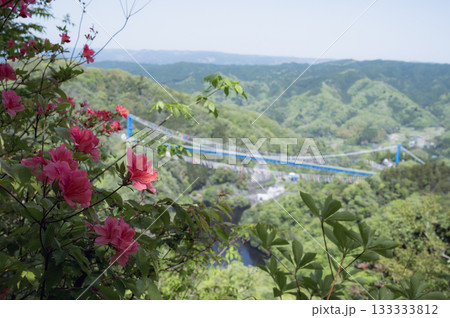 茨城　ツツジの花と竜神峡（赤岩展望台から） 133333812
