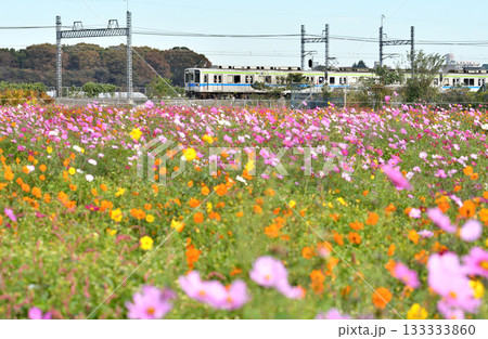鉄道 私鉄・東武野田線 10000系 11652F 鉄道 私鉄・東武野田線 10000系 11652F 133333860