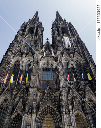 Historic Gothic Cathedral 133333925