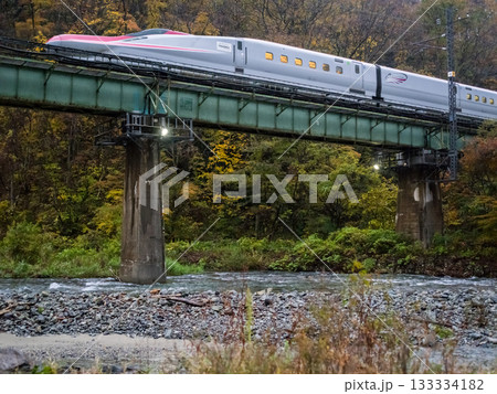 【秋田新幹線】秋の夕暮れの渓谷を通過する特急こまち 【秋田新幹線】秋の夕暮れの渓谷を通過する特急こまち 133334182