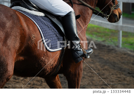 Women's black leather jockey boot in stirrup while sitting on a horse at a paddock walk Women's black leather jockey boot in stirrup while sitting on a horse at a paddock walk 133334448