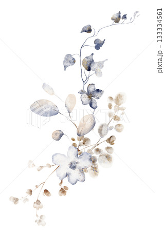 Watercolor Dried Flower Bouquet Illustration Watercolor Dried Flower Bouquet Illustration 133334561