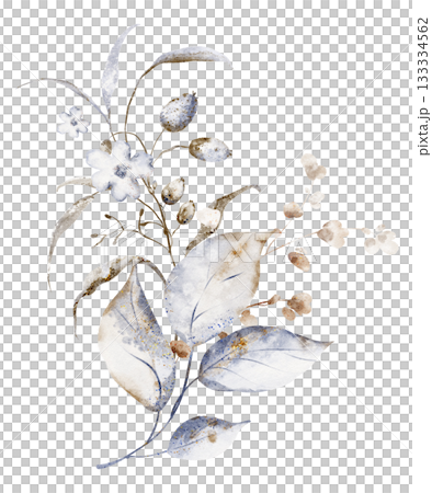 Watercolor Dried Flower Bouquet Illustration 133334562
